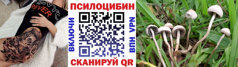 OMG рабочий сайт  Нерчинск  Псилоцибиновые грибы Psilocybine cubensis 